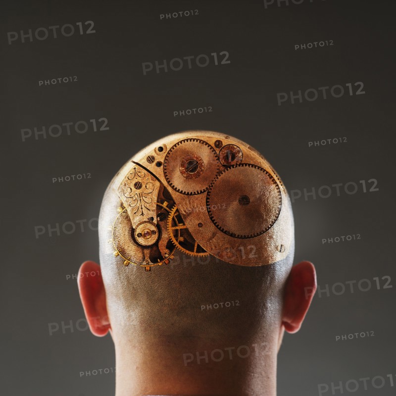 Back view of man with gears in shaved head.