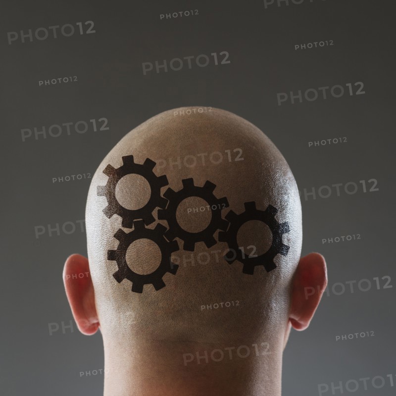 Studio shot of man's shaved head.