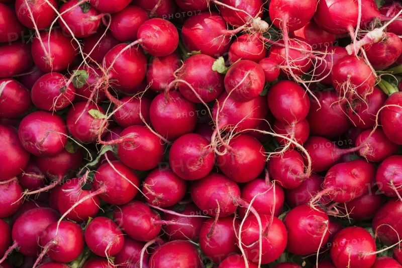 Fresh radish.