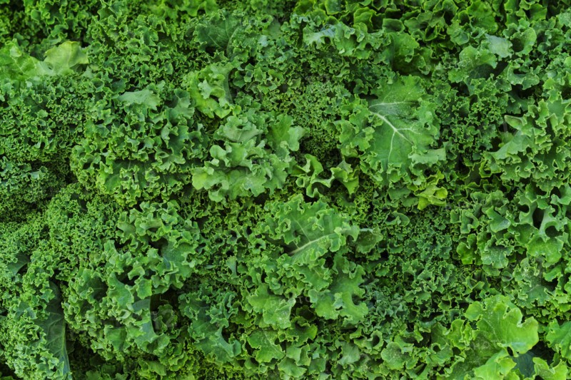 Fresh kale.