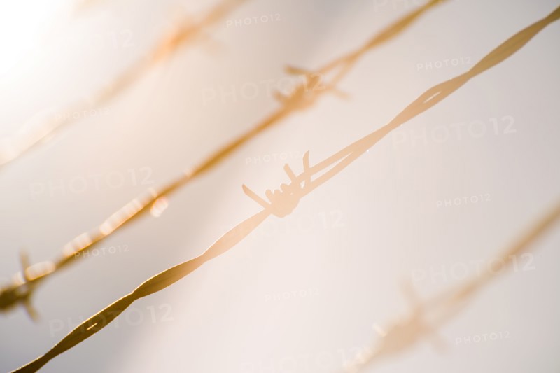 Barbed wire in bright sunshine.