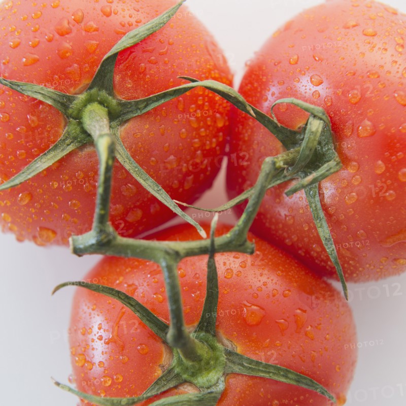Studio Shot of fresh tomatoes. Photo : Jamie Grill