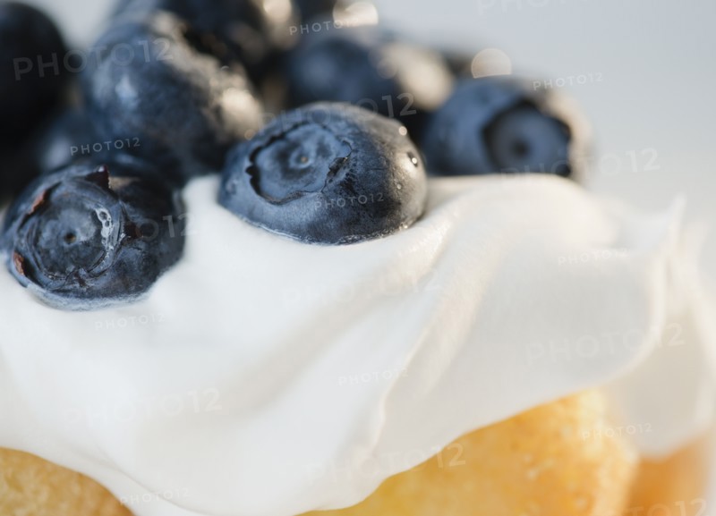 Close-up of whipped cream with blueberries. Photo : Jamie Grill
