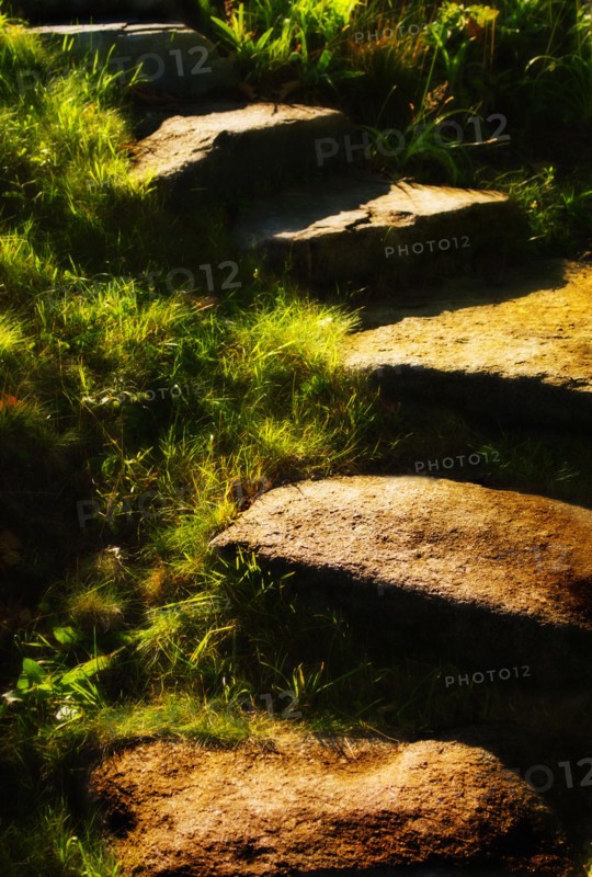 Stone steps in morning light. Photo: Daniel Grill