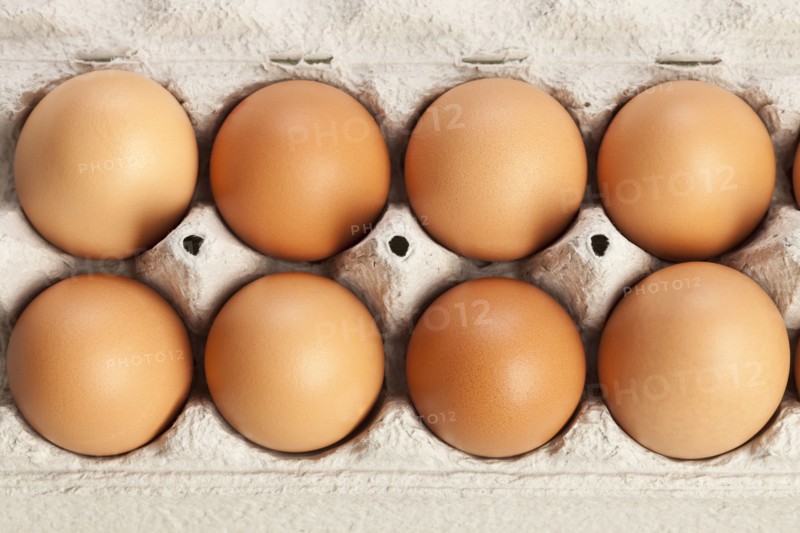 Eggs in carton. Photo : Sarah M. Golonka