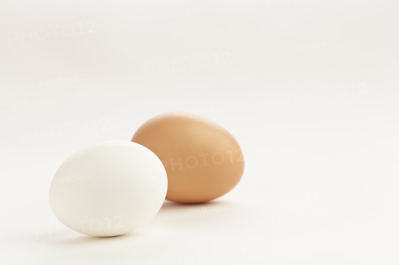 Studio shot of eggs. Photo : Sarah M. Golonka