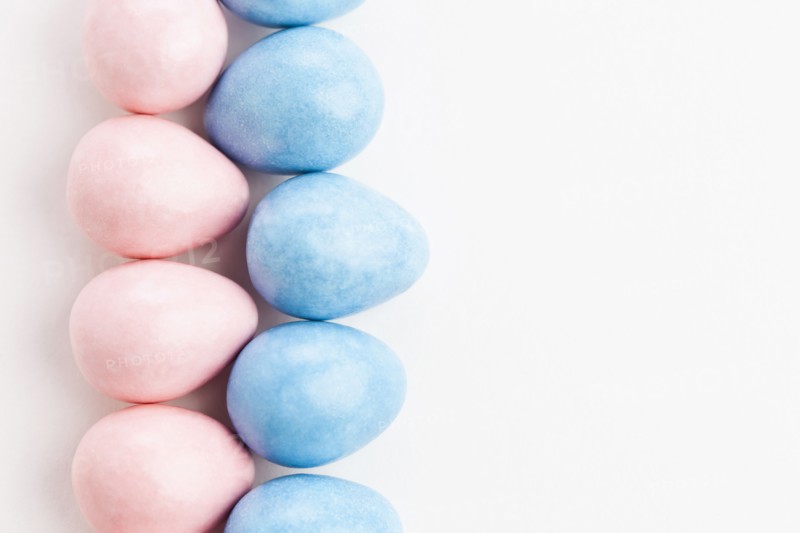 Studio shot of colorful eggs. Photo: Sarah M. Golonka