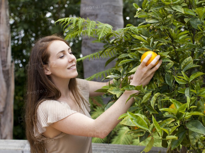 Young woman picking orange. Photo : Jessica Peterson
