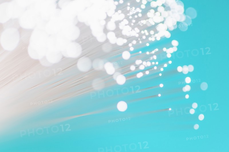 Fiber optic glowing, studio shot.