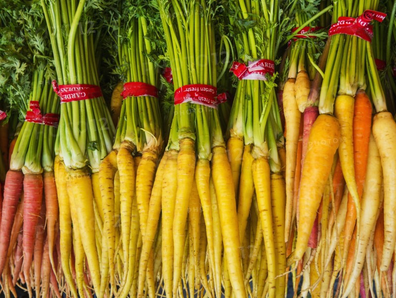 Bunches of carrots.