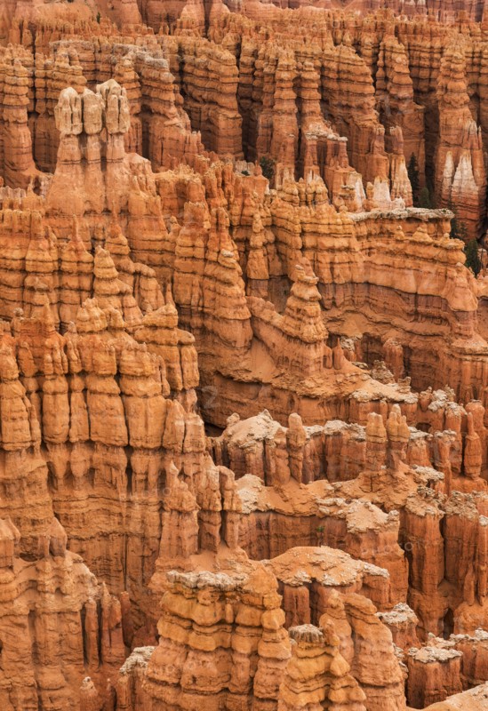 Bryce Canyon.