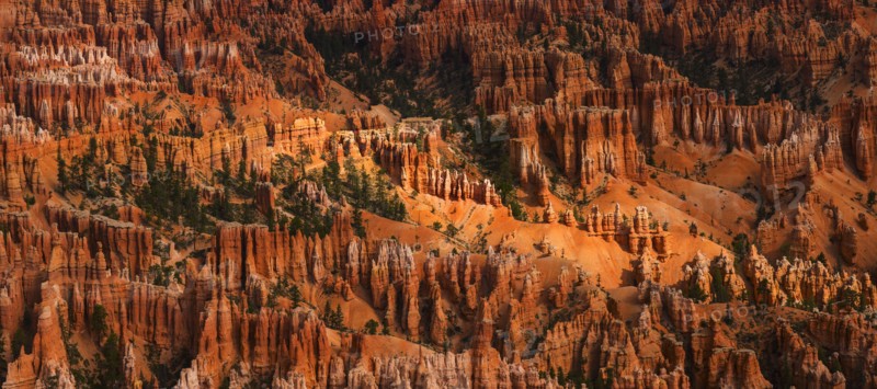 Bryce Canyon.
