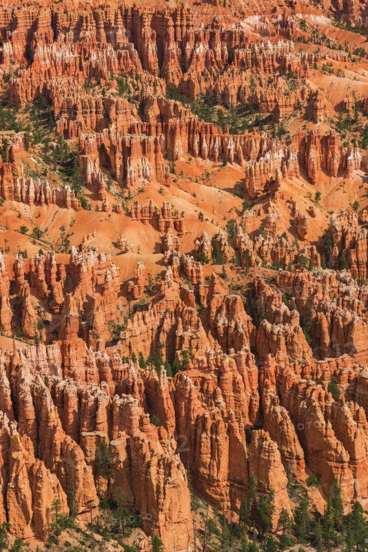 Bryce Canyon.