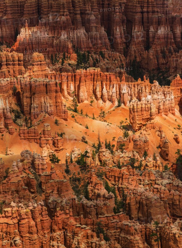 Bryce Canyon.