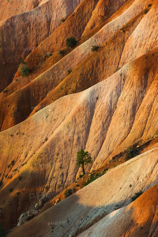 Bryce Amphitheater.