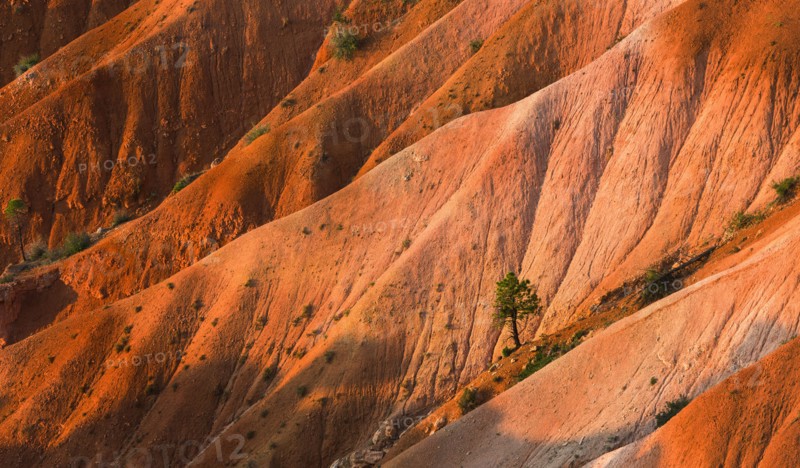Bryce Amphitheater.