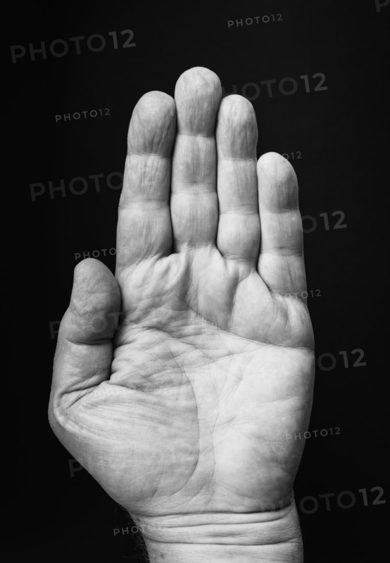 Studio shot of hand.