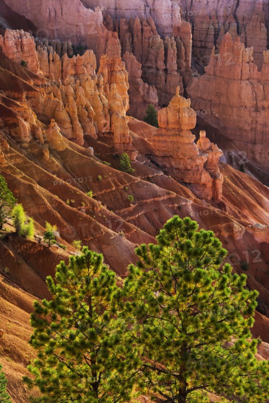 Bryce Amphitheater.
