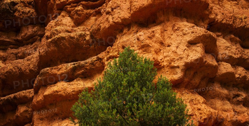 Tree and steep cliff.