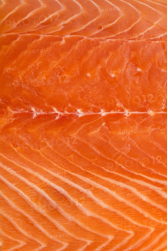 Close up of raw salmon meat, studio shot.