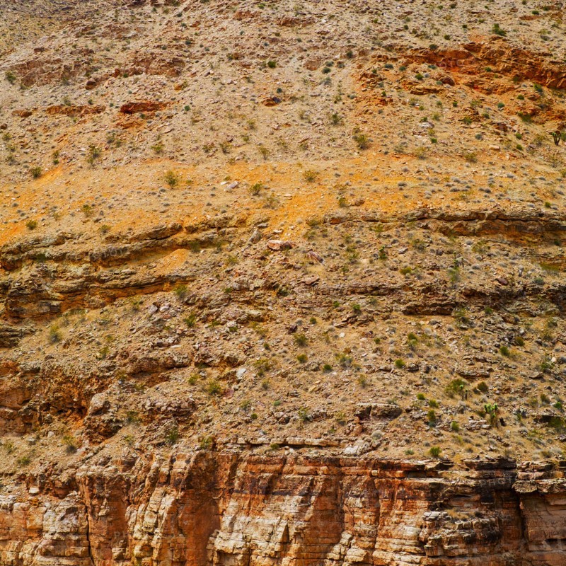 Desert landscape.