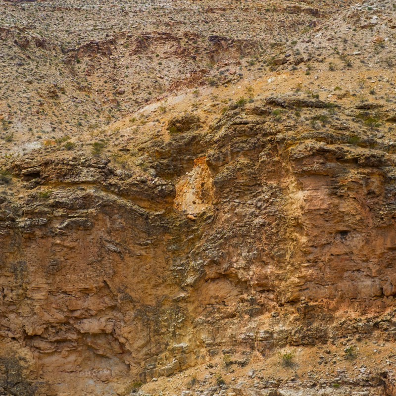 Desert landscape.
