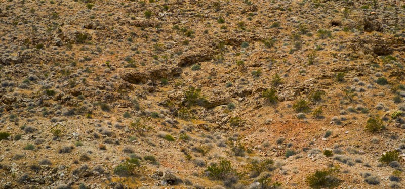 Desert landscape.
