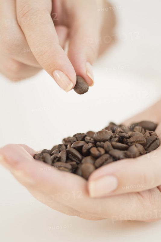 Coffee beans on woman's hand.