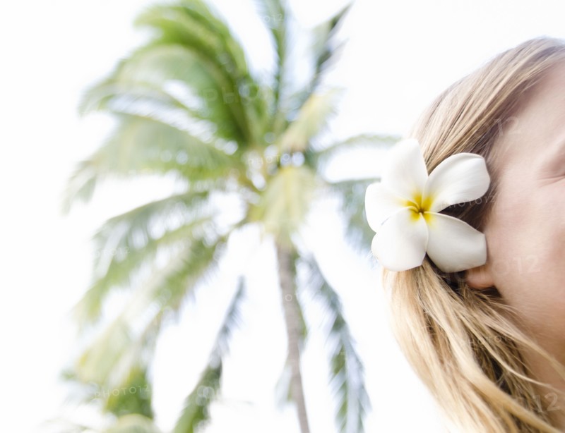 Woman wearing plumeria flower in hair. Photo : Jamie Grill