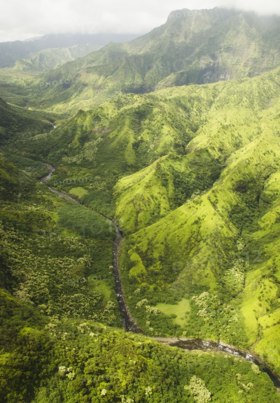 Green mountains. Photo : Jamie Grill