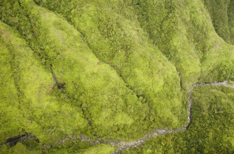 Green mountains. Photo : Jamie Grill