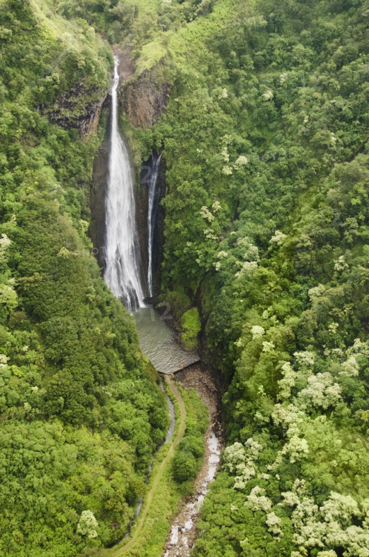 Jurassic Falls, Manawaiopuna Falls, Waterfall in forest. Photo: Jamie Grill
