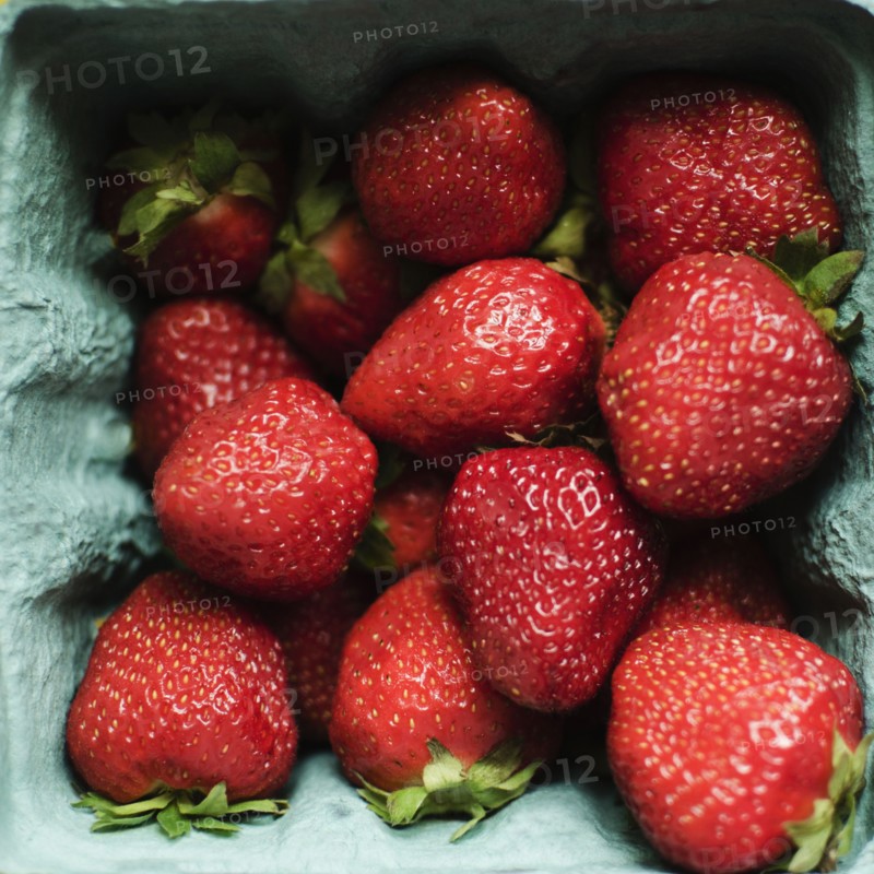 Studio shot of fresh strawberries. Photo : Jamie Grill