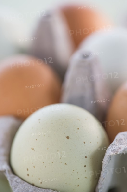 Close-up of eggs in carton. Photo: Daniel Grill