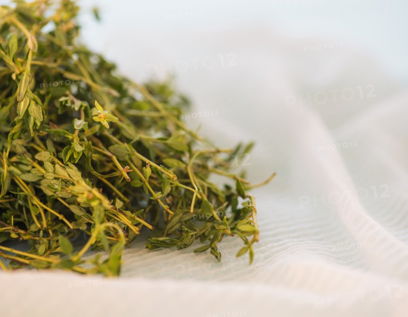 Studio shot of thyme. Photo: Daniel Grill