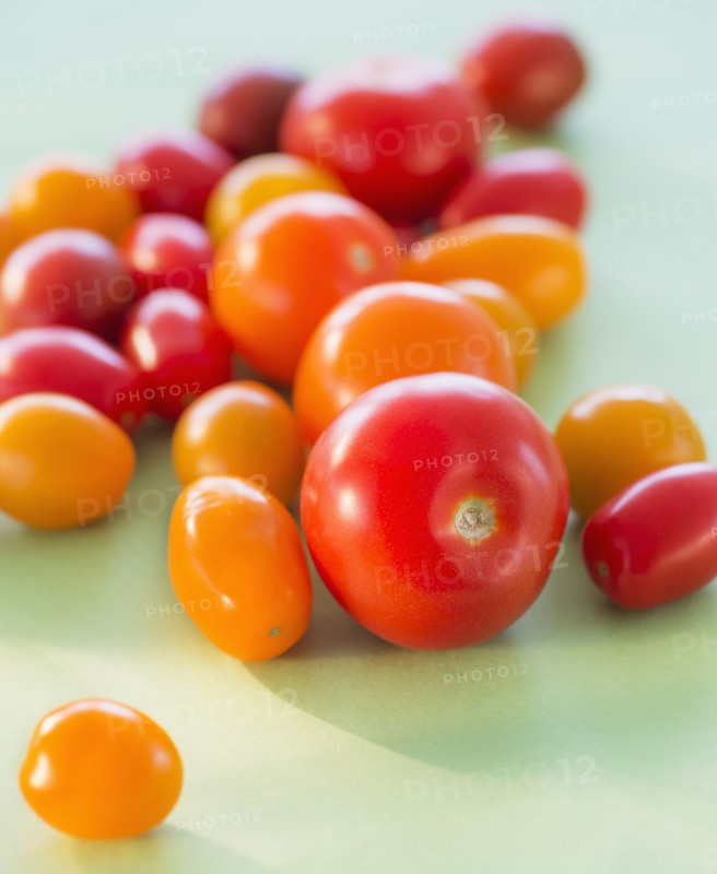 Studio Shot of tomatoes. Photo : Daniel Grill