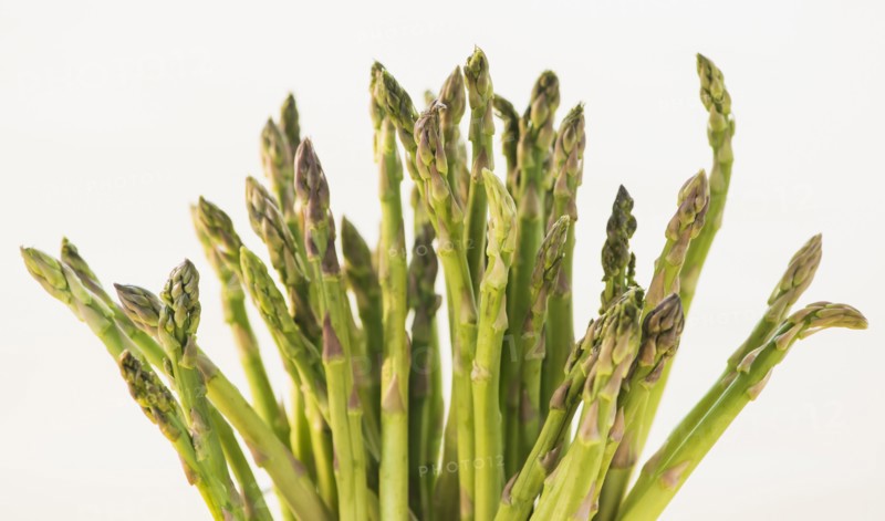 Bunch of asparagus, studio shot. Photo : Daniel Grill