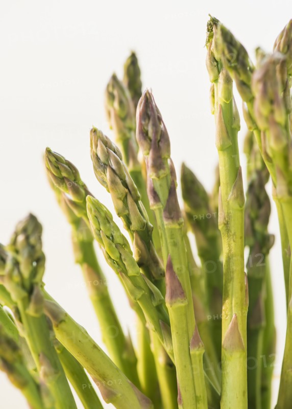 Bunch of asparagus, studio shot. Photo: Daniel Grill