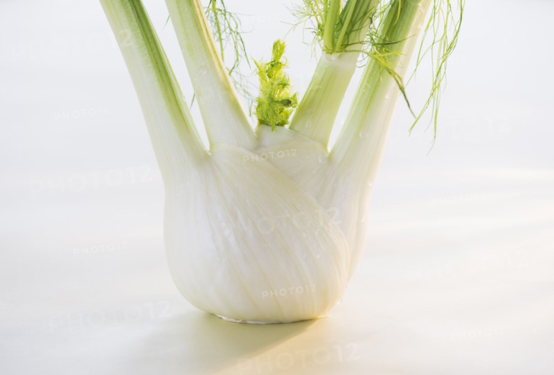 Studio Shot of fennel. Photo: Daniel Grill
