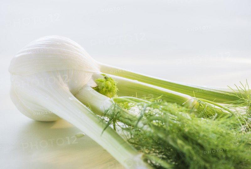 Studio Shot of fennel. Photo: Daniel Grill