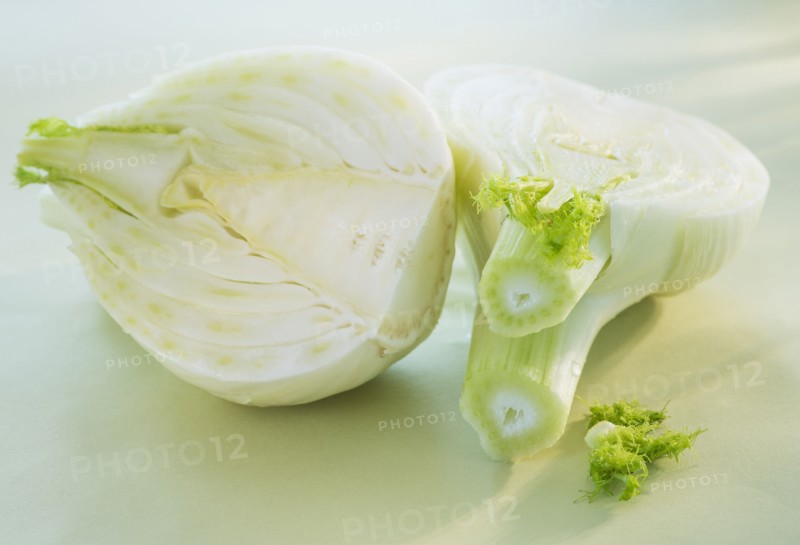 Studio Shot of fennel. Photo: Daniel Grill