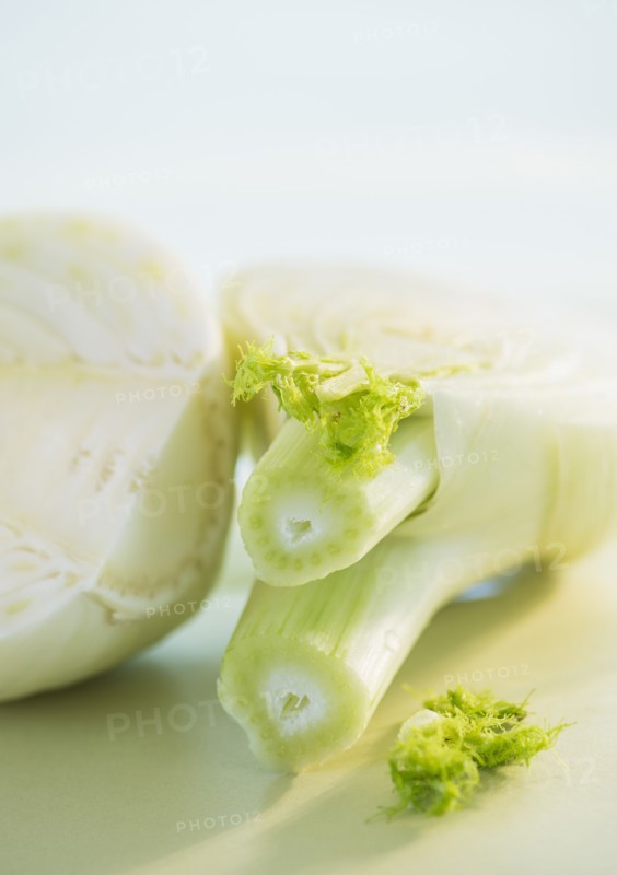 Studio Shot of fennel. Photo: Daniel Grill