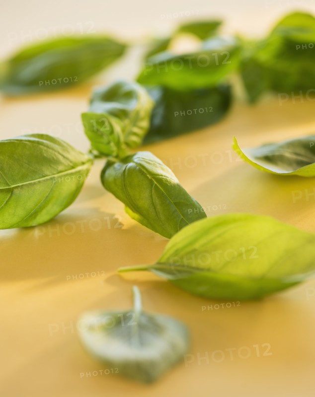 Studio Shot of basil. Photo: Daniel Grill