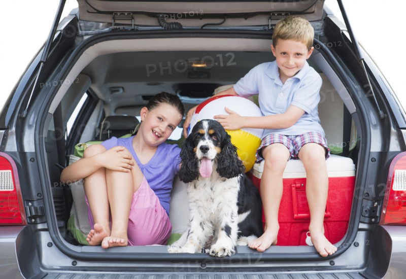 Girl (8-9) together with her brother (6-7) and their do setting out for vacations. Photo: Daniel Grill