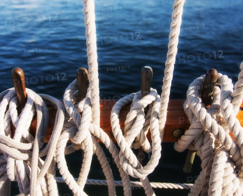 Coiled ropes on yacht deck. Photo: Daniel Grill