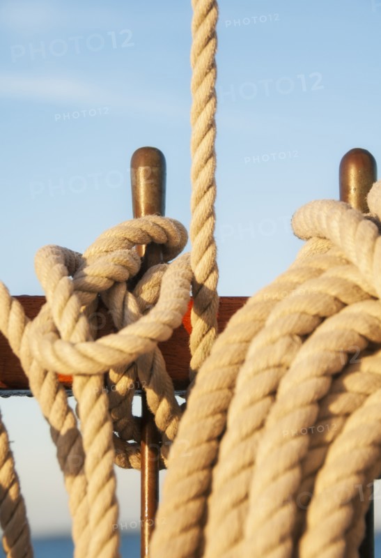 Coiled ropes on yacht deck. Photo: Daniel Grill