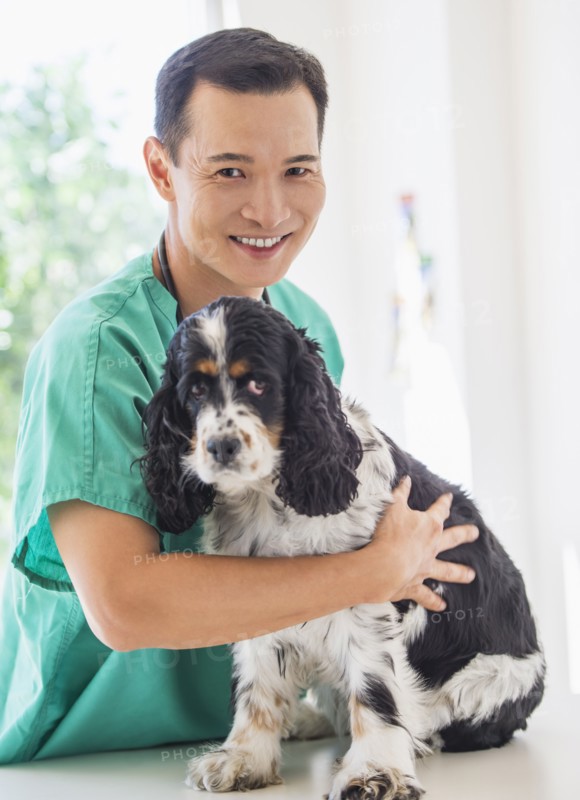 Mid adult vet attending to dog. Photo : Daniel Grill