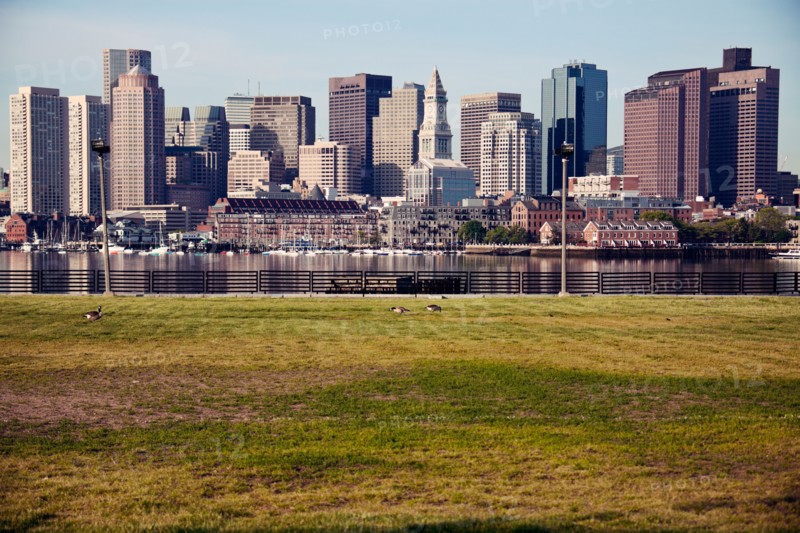 Skyline at sunrise, with grass foreground. Photo : Henryk Sadura