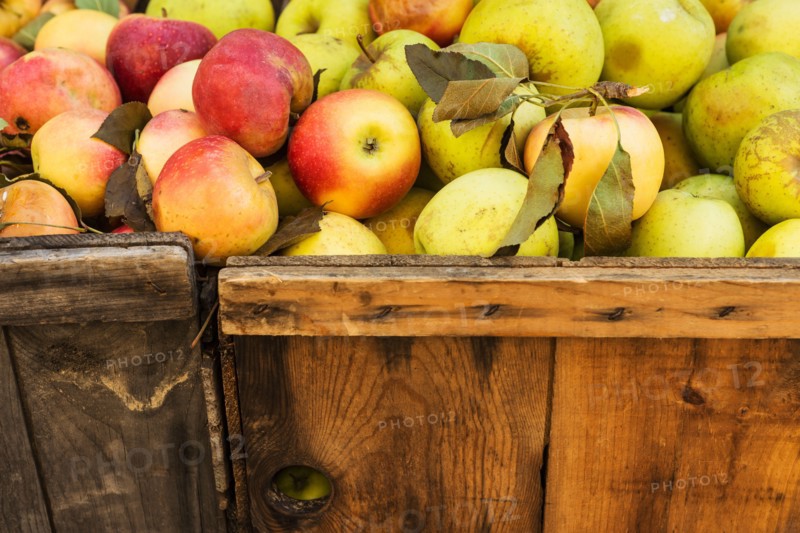Heap of apples.