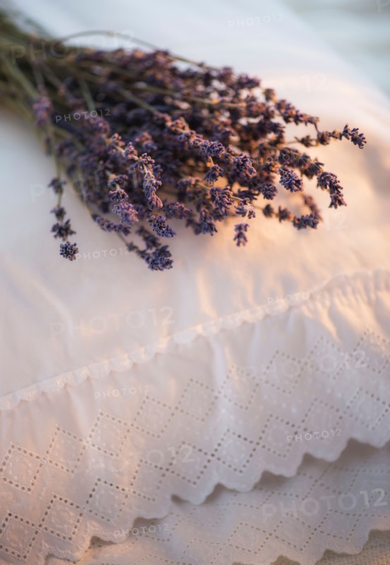 Close up of lavender bundle lying on embroidered pillow